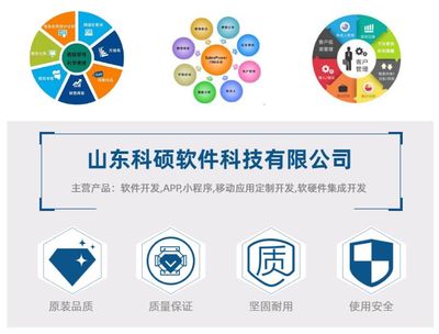 小程序軟件開發(fā)銷售價-科碩軟件-小程序軟件開發(fā)